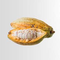 Paraxanthine (enfinity®)