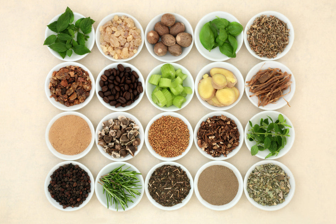 Everything You Need to Know About Acetylcholine & Adaptogens