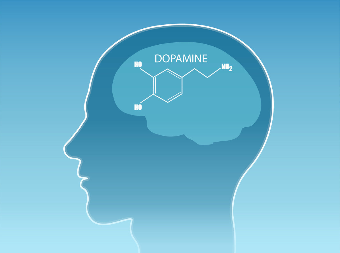 The Motivational Dangers of a Dopamine Deficiency