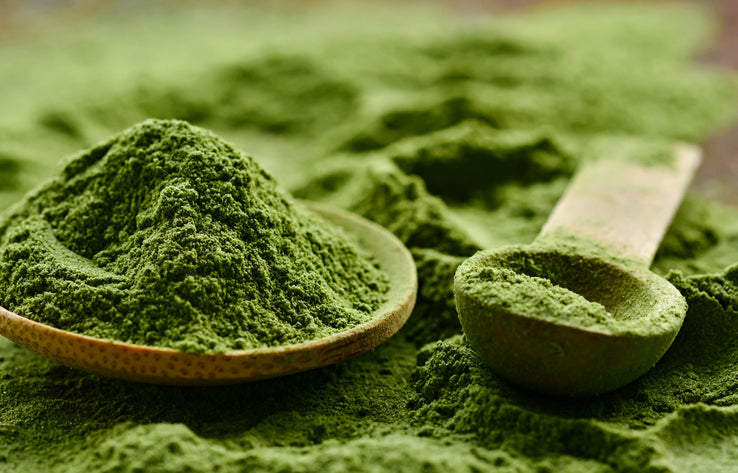 Everything You Need to Know About L-Theanine