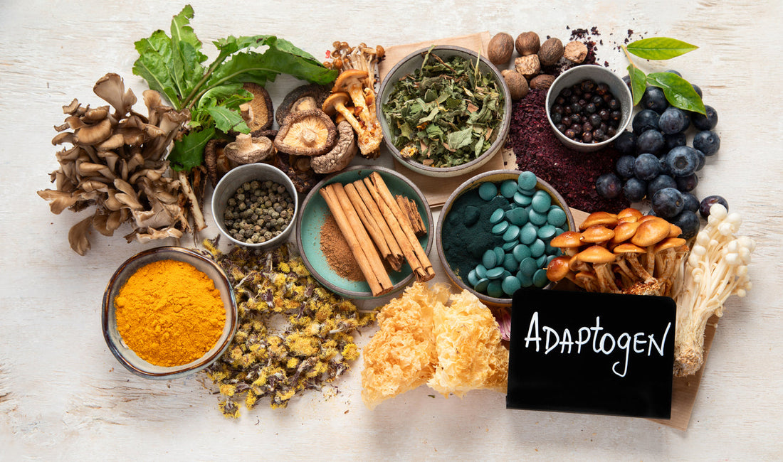 Why Traditional Supplements Suck & How Adaptogens Build Resilient Energy