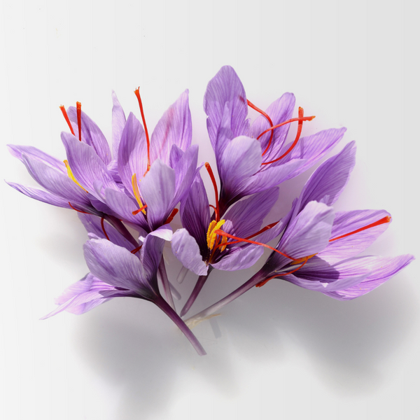 Saffron (Affron®)
