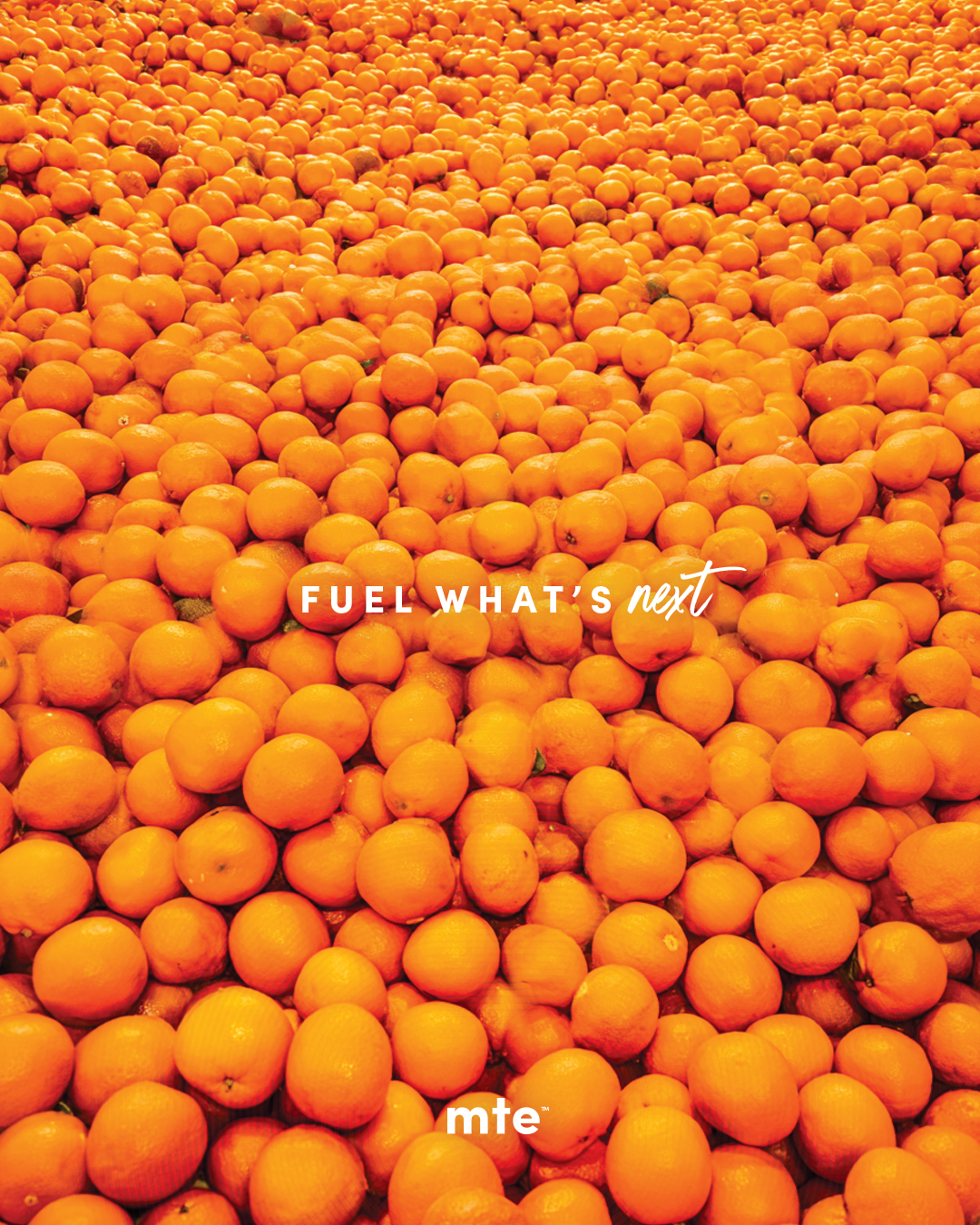 MTE | Energy Without the Downside