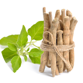 Ashwaganda